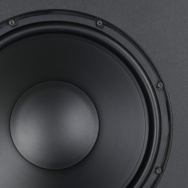 Close up of Stratton 12-inch subwoofer